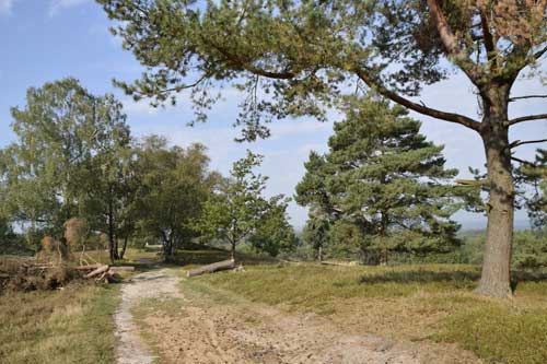 Naturpark Aukrug Ausflugstipps Geochaching Kachel