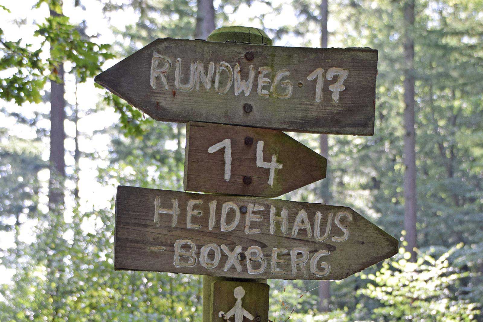 Naturpark Aukrug Wandern Boxberg-Wanderroute-Waldhütten Galerie