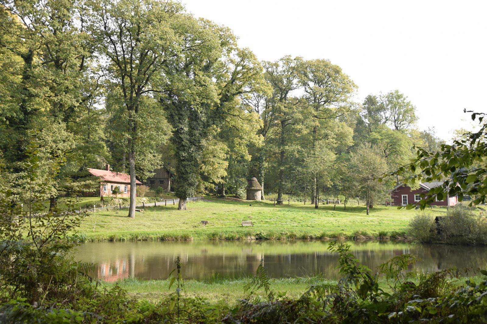Naturpark Aukrug Wandern Ochsenschleichweg Galerie