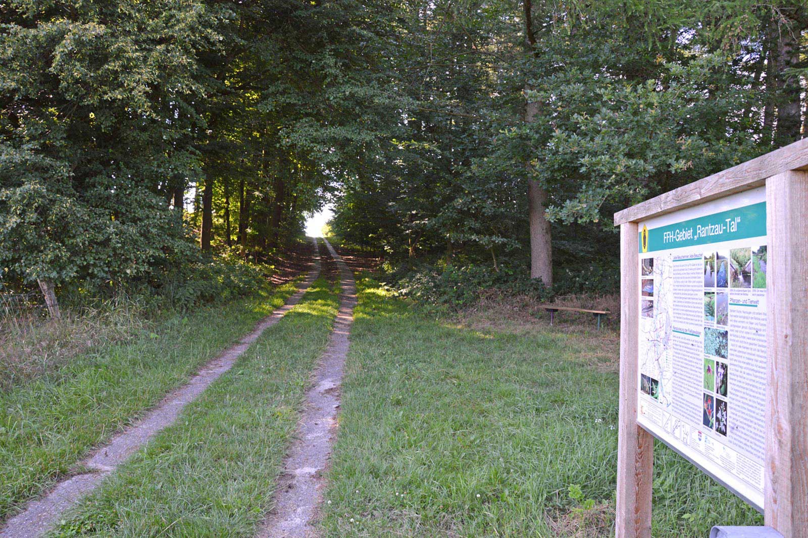 Naturpark Aukrug Wandern Wanderroute Rantzau-Tal Tour Galerie