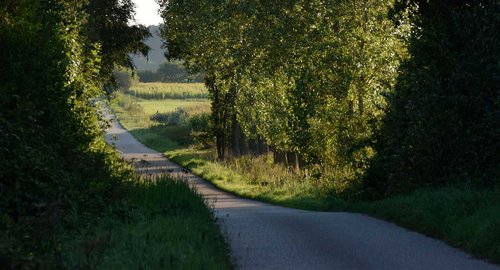 Naturpark Aukrug Radfahren Gehege-Tour Header