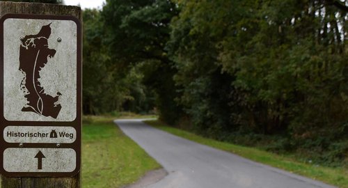 Naturpark Aukrug Radfahren Ochsenweg Header