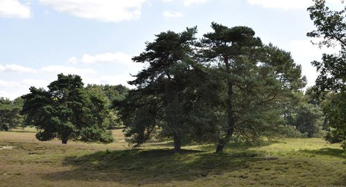 Naturpark Aukrug Radfahren Aukrug-Erlebnis-Tour Header
